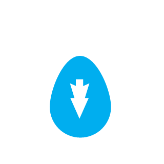 bew's emblem