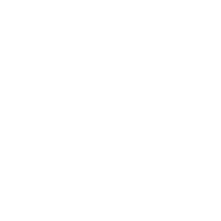 NikitaVolk666's emblem