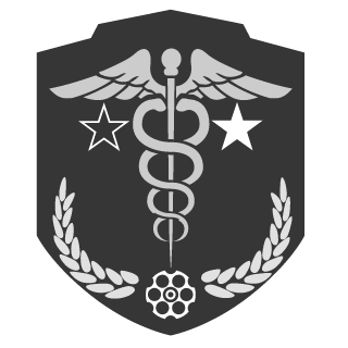 HenryHo2017's emblem