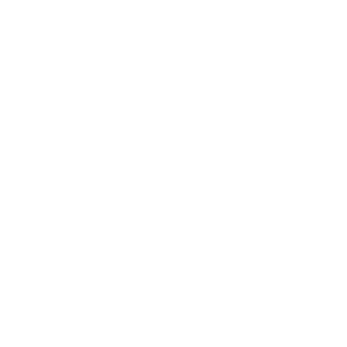 projectSALBO's emblem