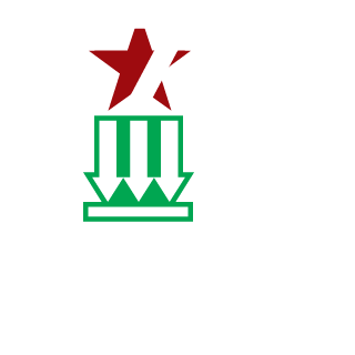 nuclearcloud9's emblem