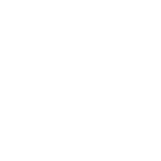 GeorgeHBush's emblem