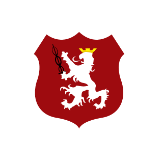 Reka41's emblem