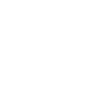 Nive1928's emblem