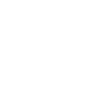 MiguelAnaldo's emblem