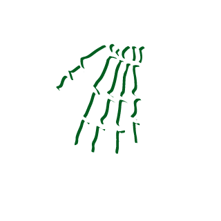 snootypizza's emblem