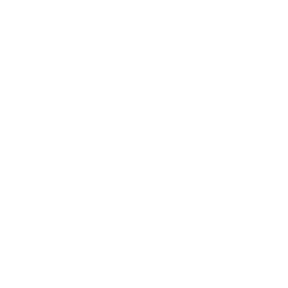 ChilledStone93's emblem