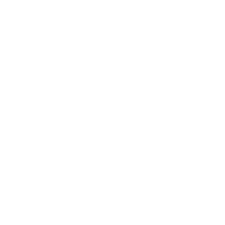 Aero_Badger's emblem