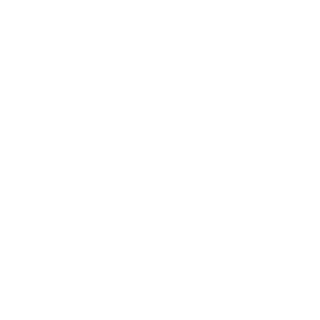 bhrex's emblem