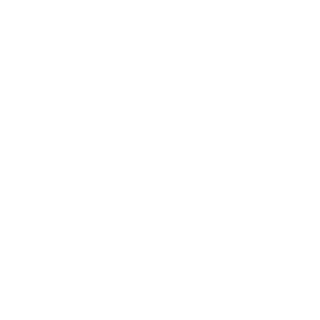 Renegade_1951's emblem