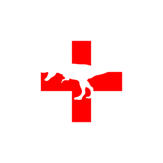 Angra62's emblem