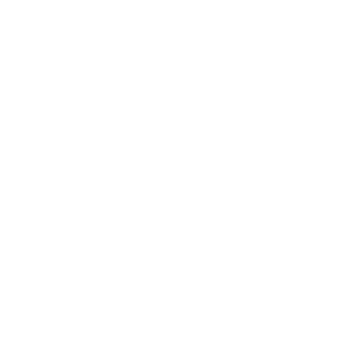 A1Y-NAB's emblem
