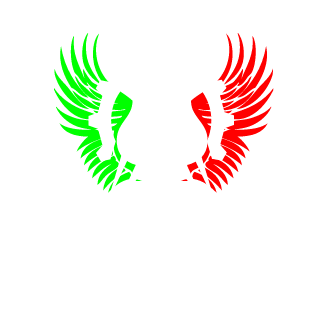 esac91's emblem