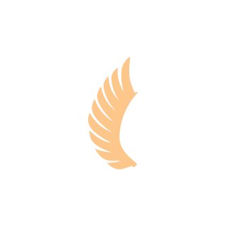 VnAbn's emblem