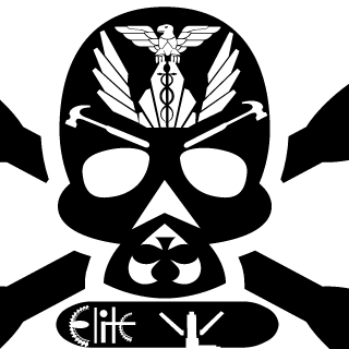 2e29d9df06a9963b's emblem