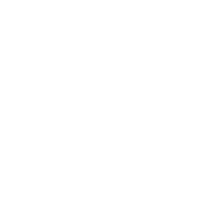4AGE-11000RPM's emblem