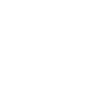 ECSarZY's emblem
