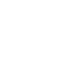 hspNACS's emblem