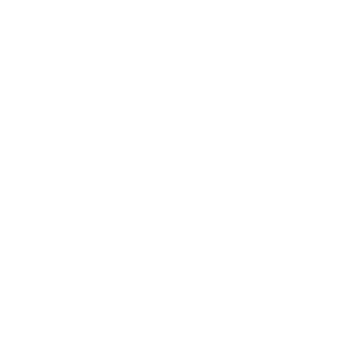Noxsteam09's emblem