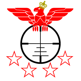 CallSgnWOLF's emblem
