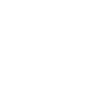 lautaro273's emblem