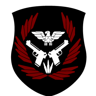 pi-r4ten's emblem