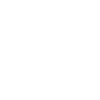 1FASA_PS's emblem