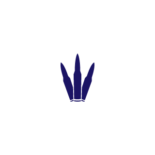 deception225's emblem