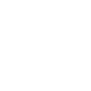Silverfox107th's emblem