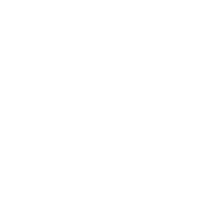 Dizajner1980's emblem