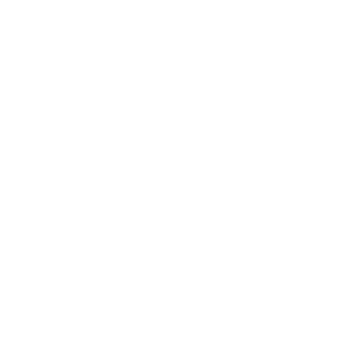 xLeraider's emblem