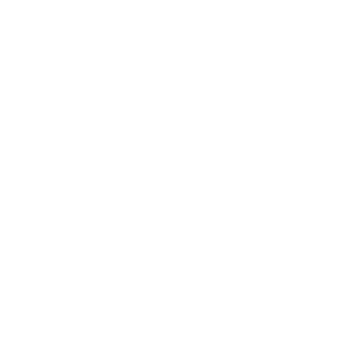 TheStreetHustler's emblem