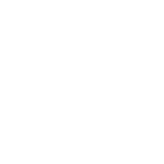 coReTNT's emblem