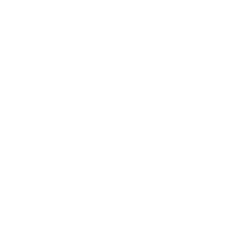 SrNordlicht's emblem