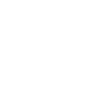 Snow_vv3's emblem