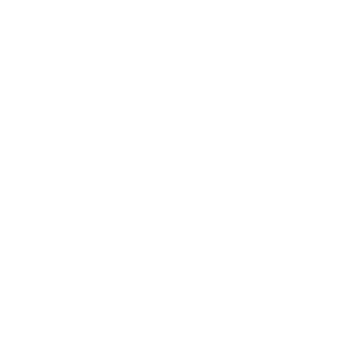 IG41MIA's emblem