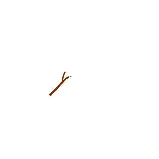 caandide's emblem
