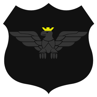 zRohak's emblem