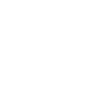 Felp1910's emblem