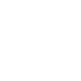 devinerules_'s emblem