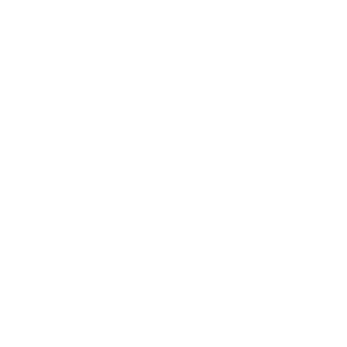 TAW_LT-Goldman's emblem
