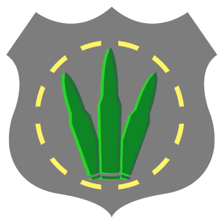 Schendytube's emblem