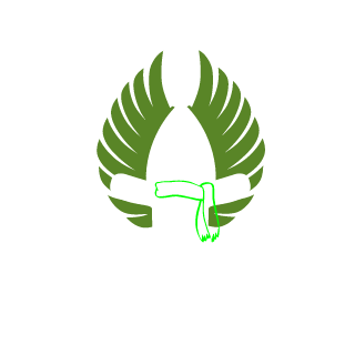 DaIFunIGuy's emblem