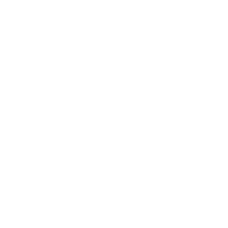 rook4ever's emblem