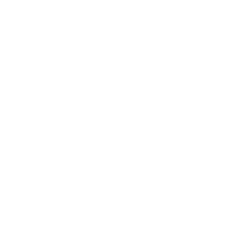 JaVDJay's emblem