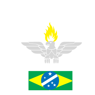 AndinhaBR's emblem