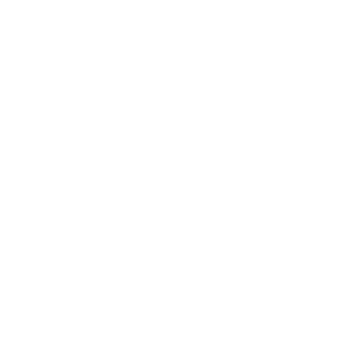 RoadToVaynox's emblem
