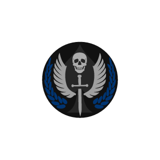 0_EquiLiBRiuM_0's emblem