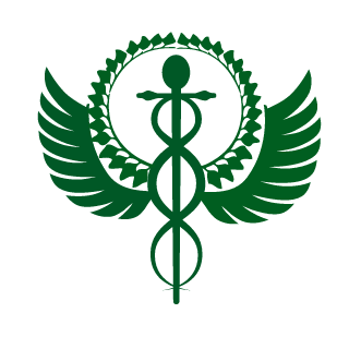 Nattawat009's emblem