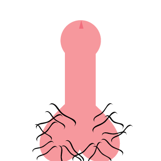 BakariC's emblem
